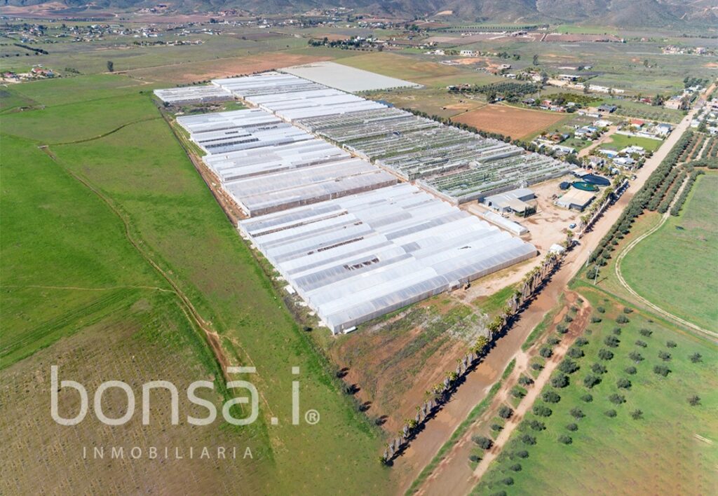 Hortibaja – Terreno Agrícola en Operación